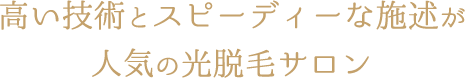 高い技術とスピーディーな施述が人気の光脱毛サロン